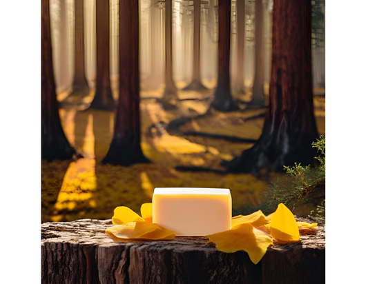 Cedar and Saffron